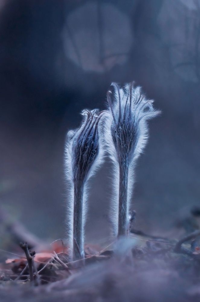 Photograph by Третьякова Анастасия