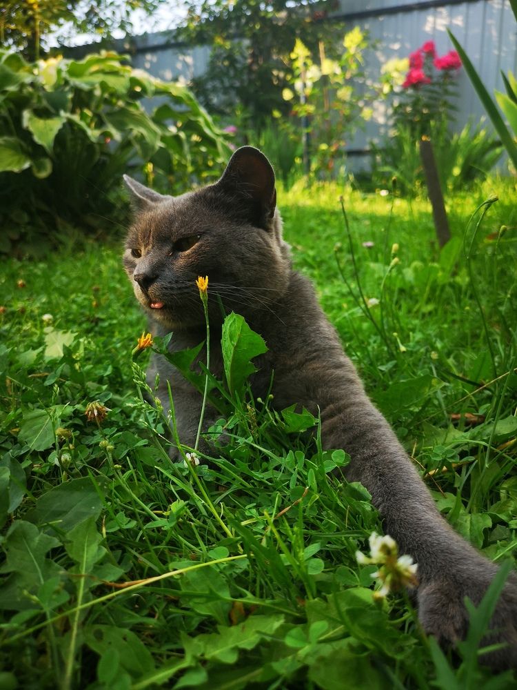 Photograph by Екатерина Борисовна Кузьмина