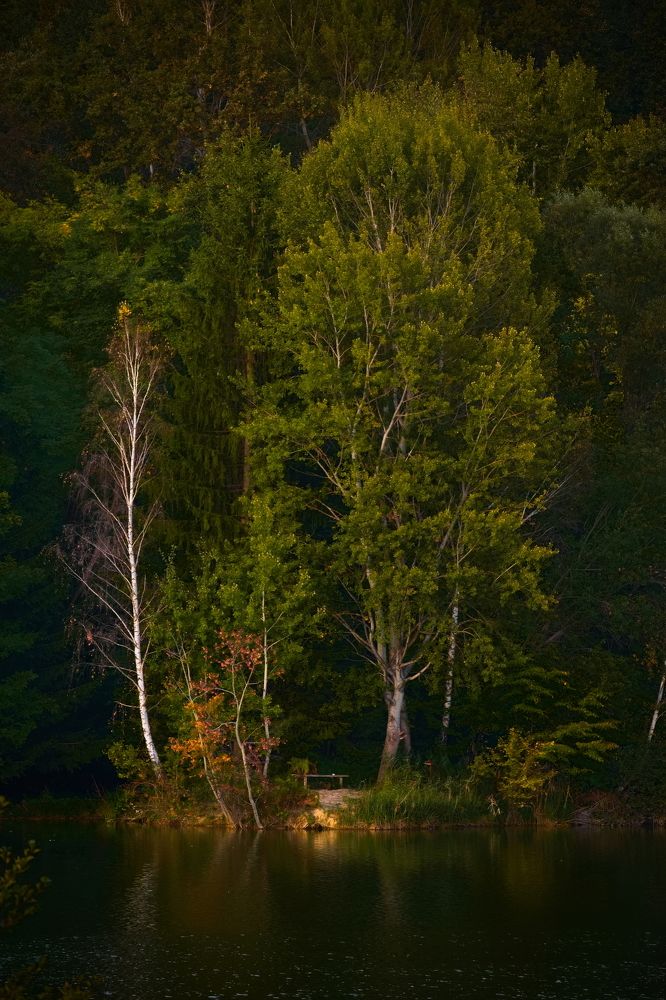 Photograph by Dimitrije Todorovic