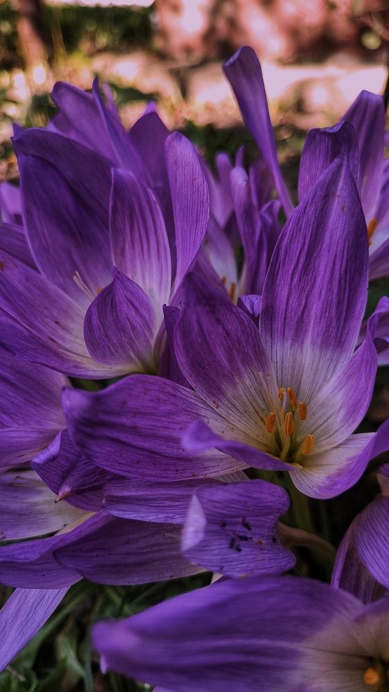 Photograph by Катерина Байдовская