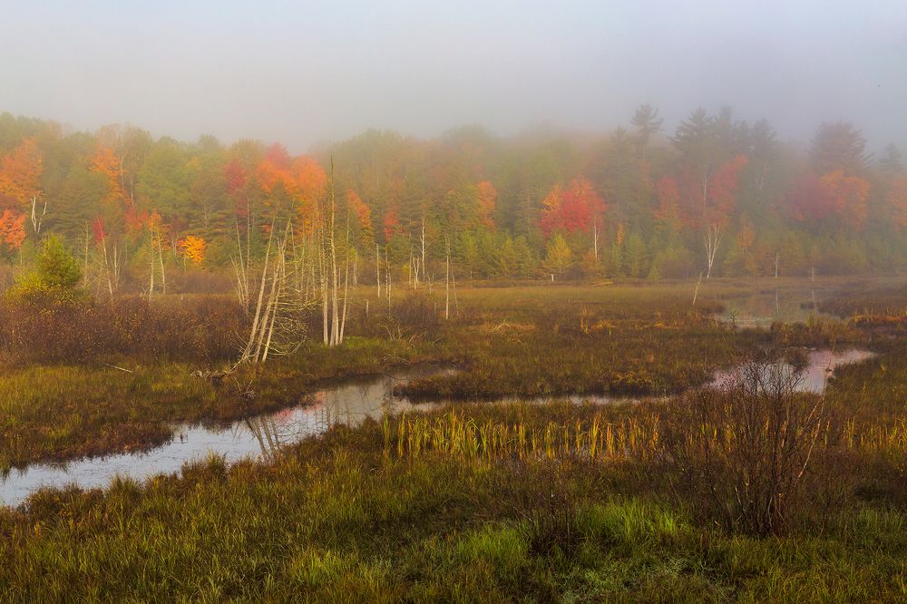 Photograph by Vladimir Vorobeychik