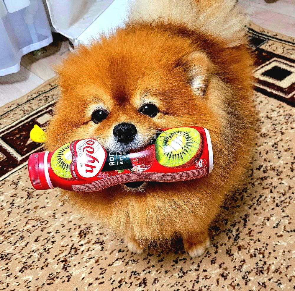 Photograph by Oksana Sabeleva