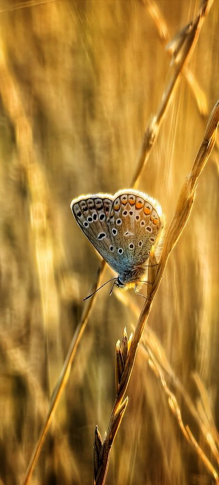 Photograph by Анна Казакова