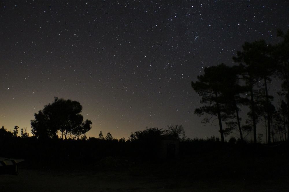 Photograph by Ferreira Francisco