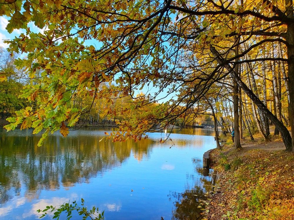 Photograph by Яна Галимуллина