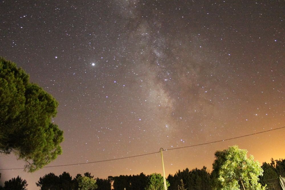 Photograph by Ferreira Francisco