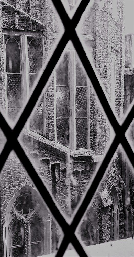 Photo #9702104