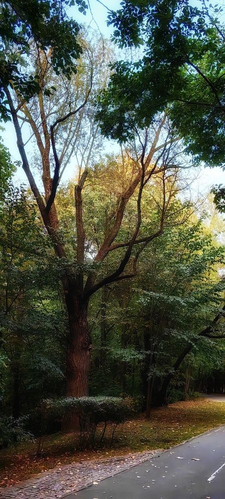 Photograph by Анна Казакова