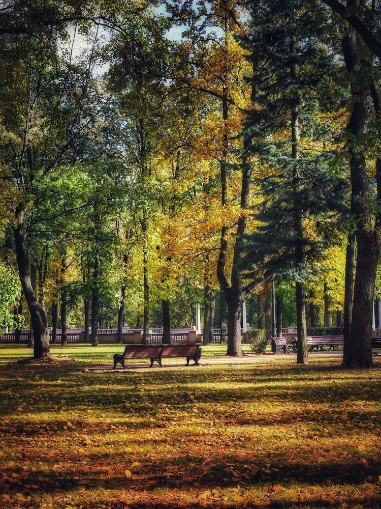 Photograph by Александра Кропивка