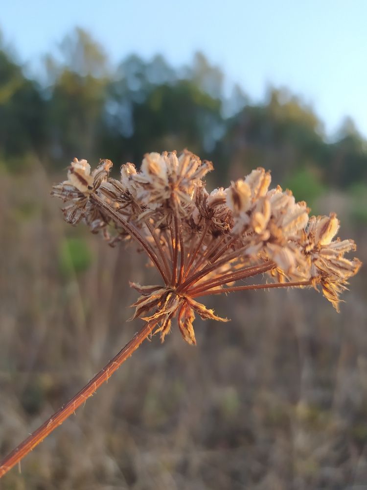 Photograph by Natalya