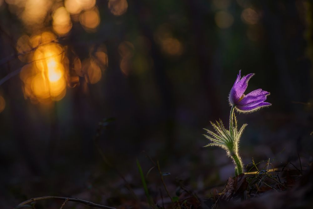 Photograph by Марина Мурашова