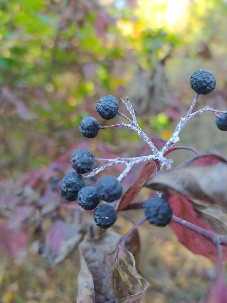 Photograph by Natalya