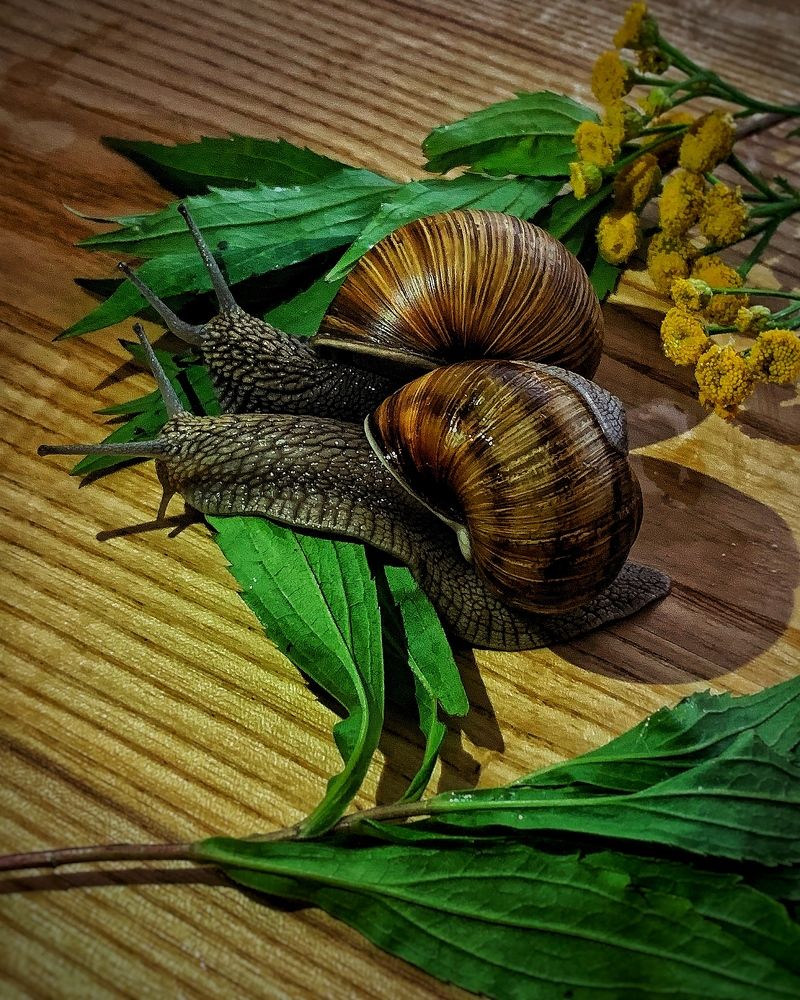 Photograph by Надежда Смирнова