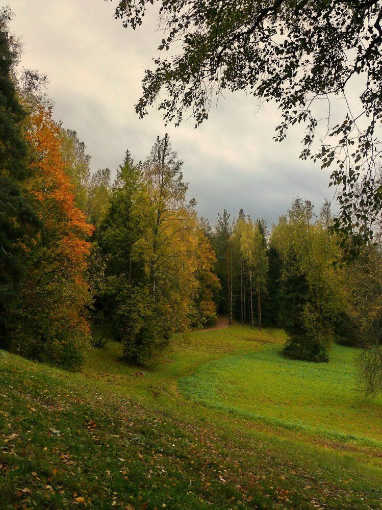 Photograph by Борис Рощупкин