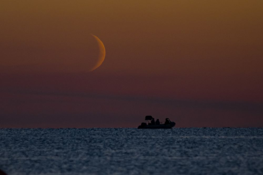 Photograph by Елена