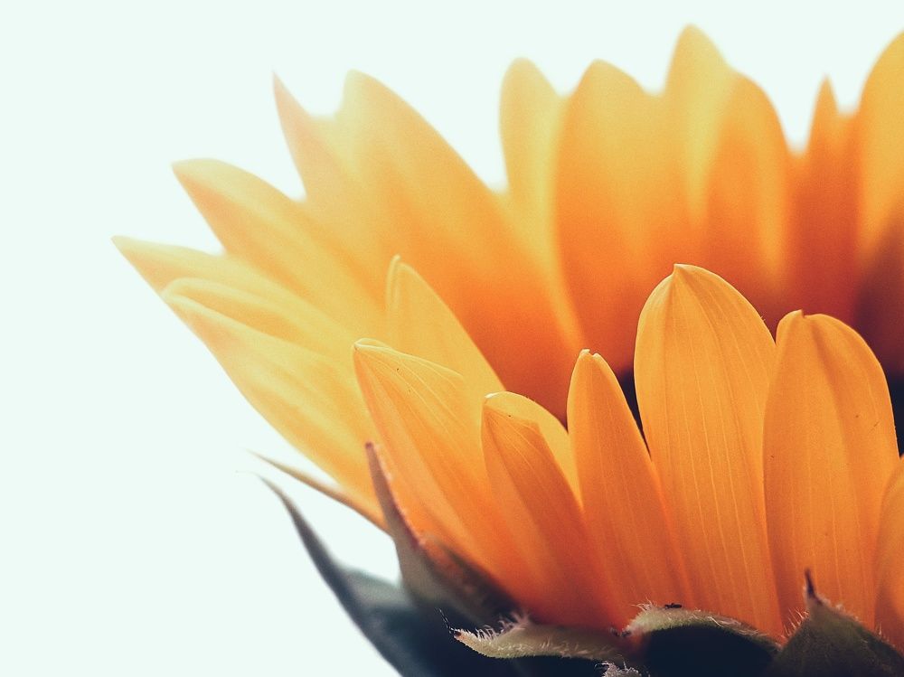 Photograph by NGUYEN LIEN