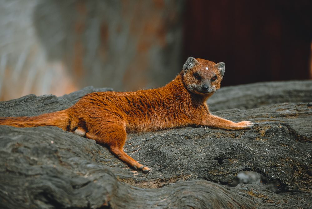 Photograph by Александр Гусев