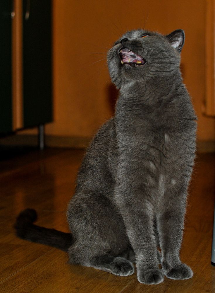 Photograph by Александр Гусев