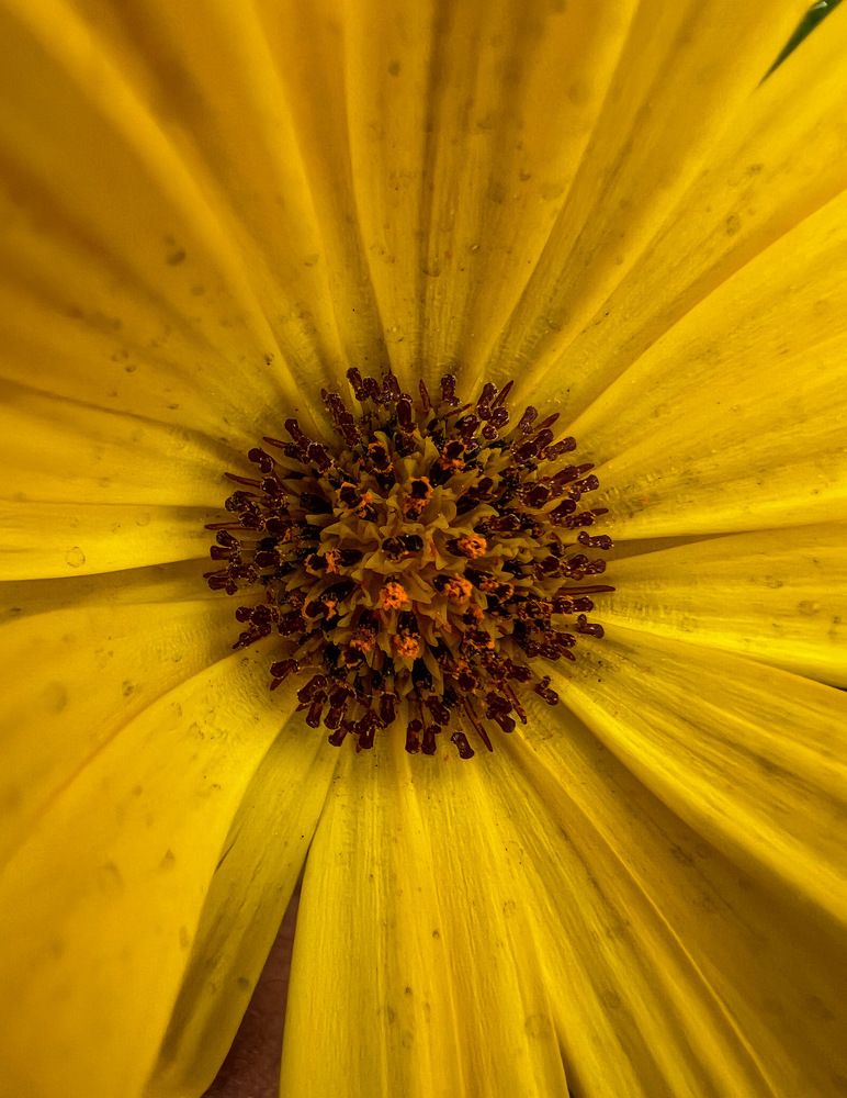 Photograph by Эльвира Мерзлякова