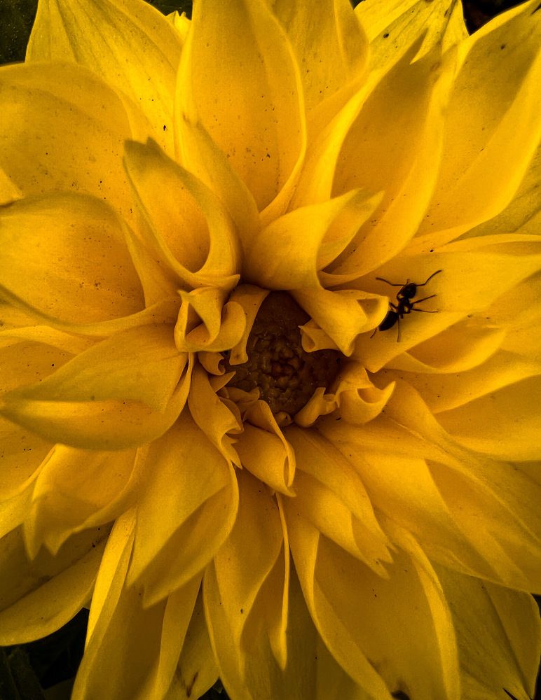 Photograph by Эльвира Мерзлякова