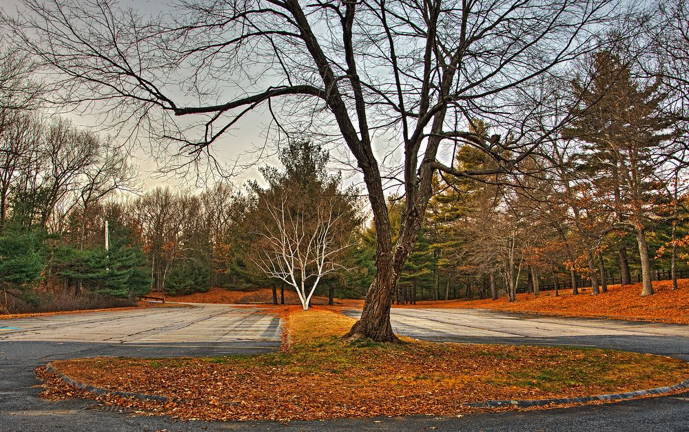 Photograph by Alex Galkin