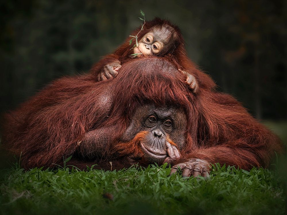 Photograph by Lugyanti Sukrisman