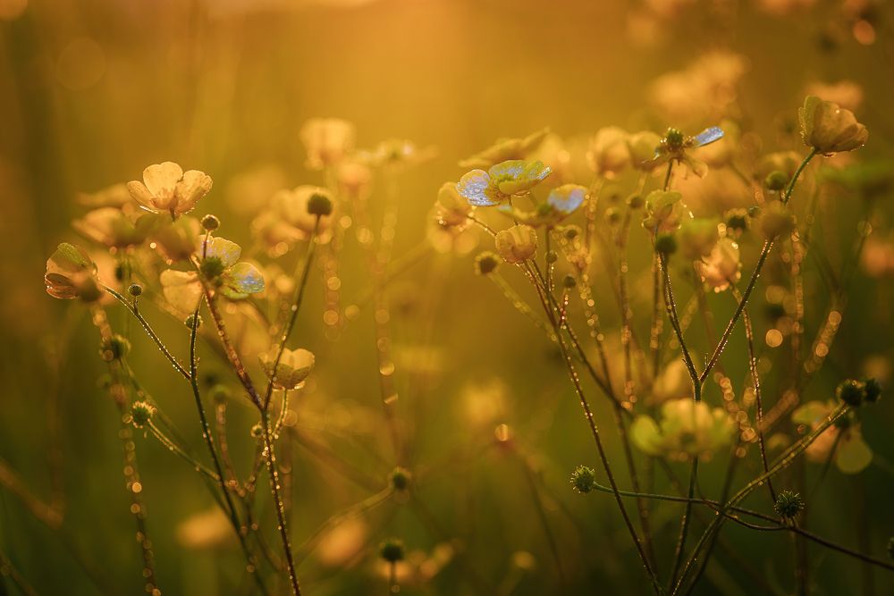 Photograph by Марина Мурашова