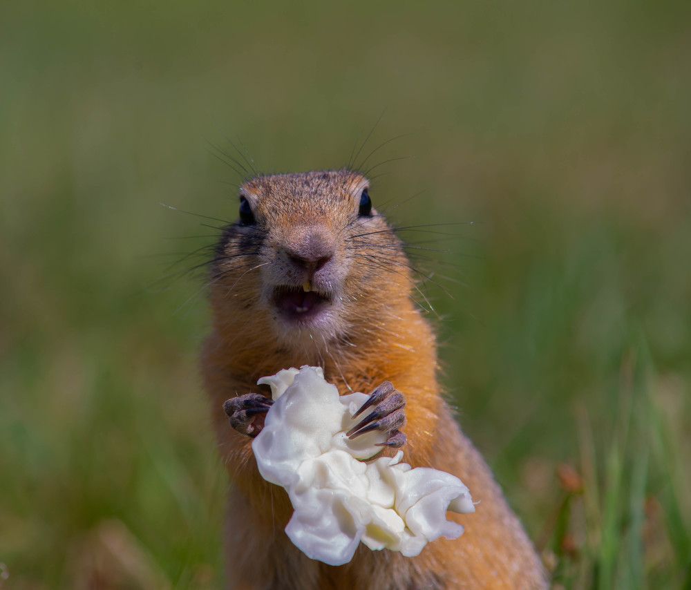 Фотография автора Григорий Червяков