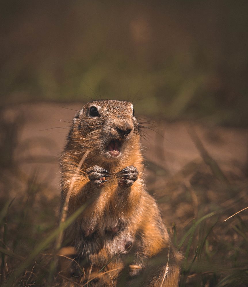 Фотография автора Григорий Червяков