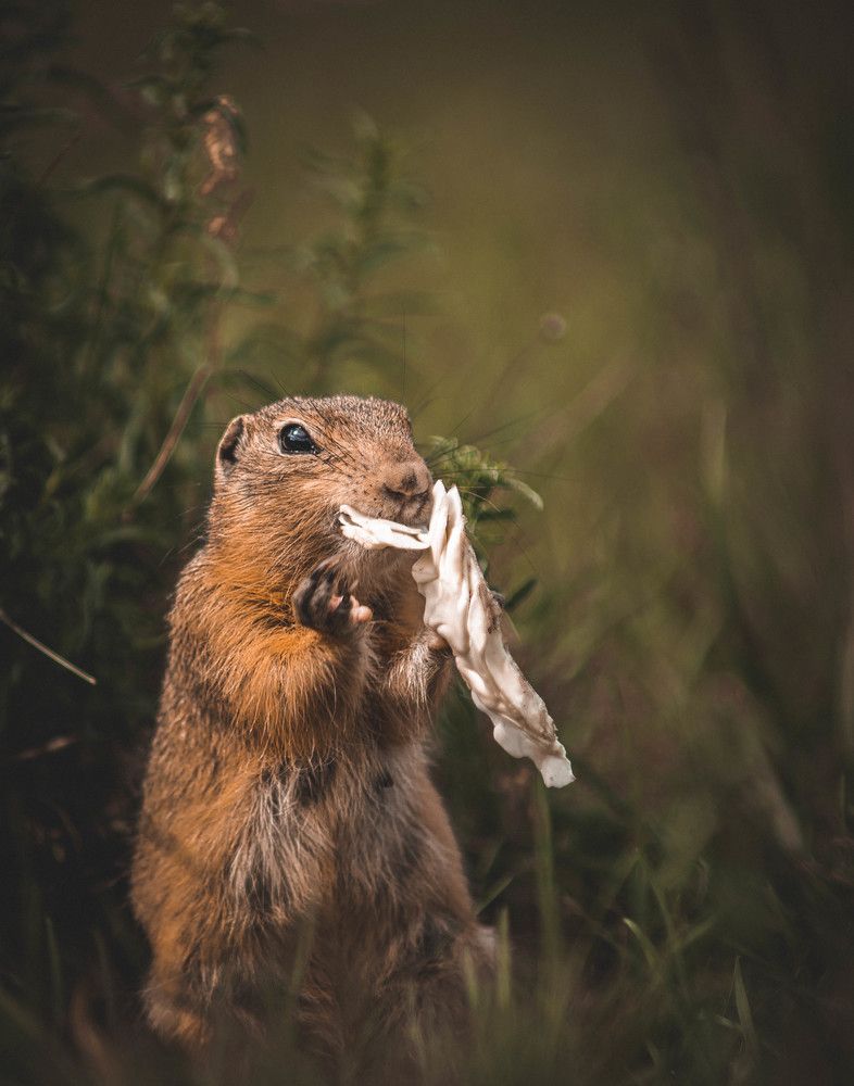 Фотография автора Григорий Червяков