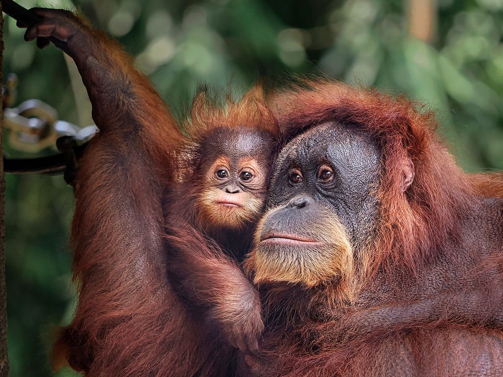 Photograph by Lugyanti Sukrisman