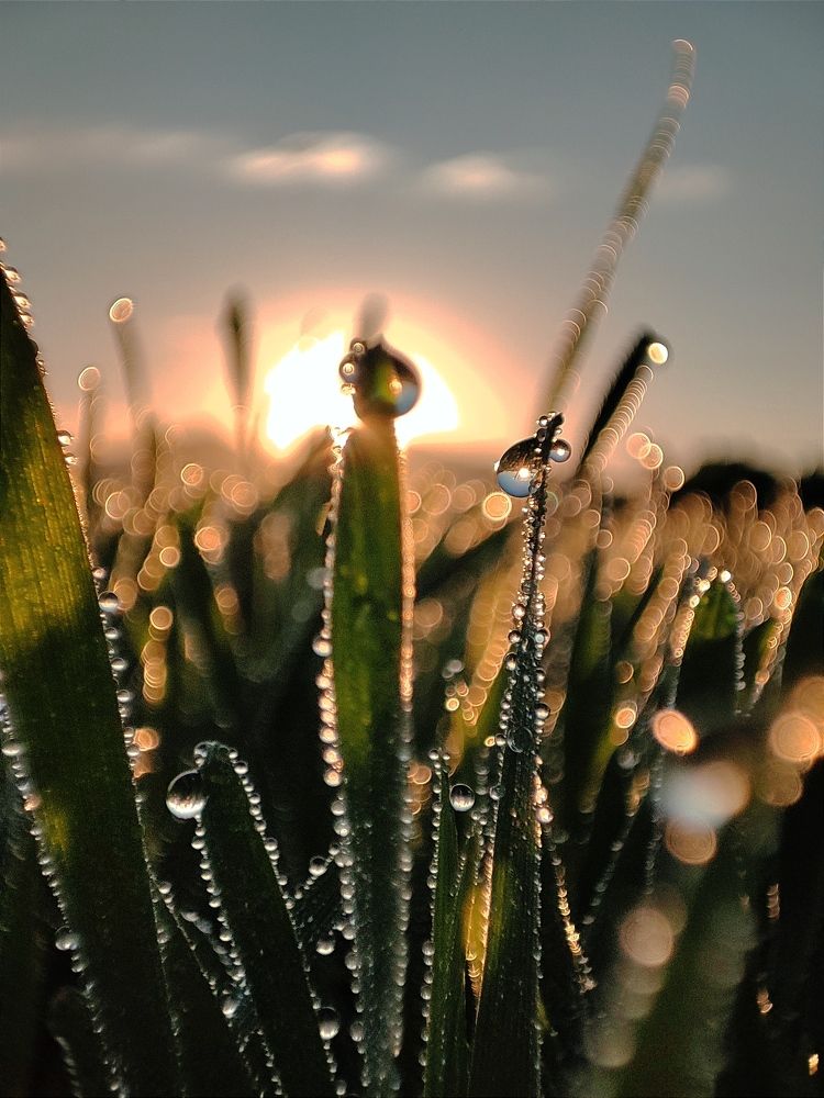 Photograph by Валентина Куцерук