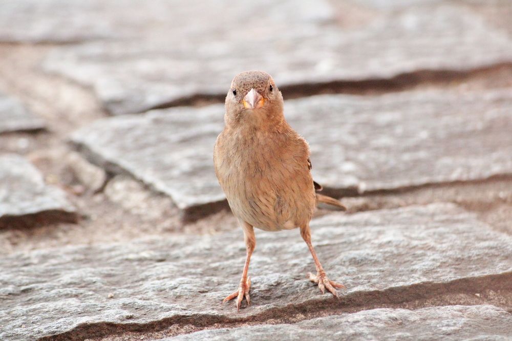 Photograph by Adrielly Mendes Abade