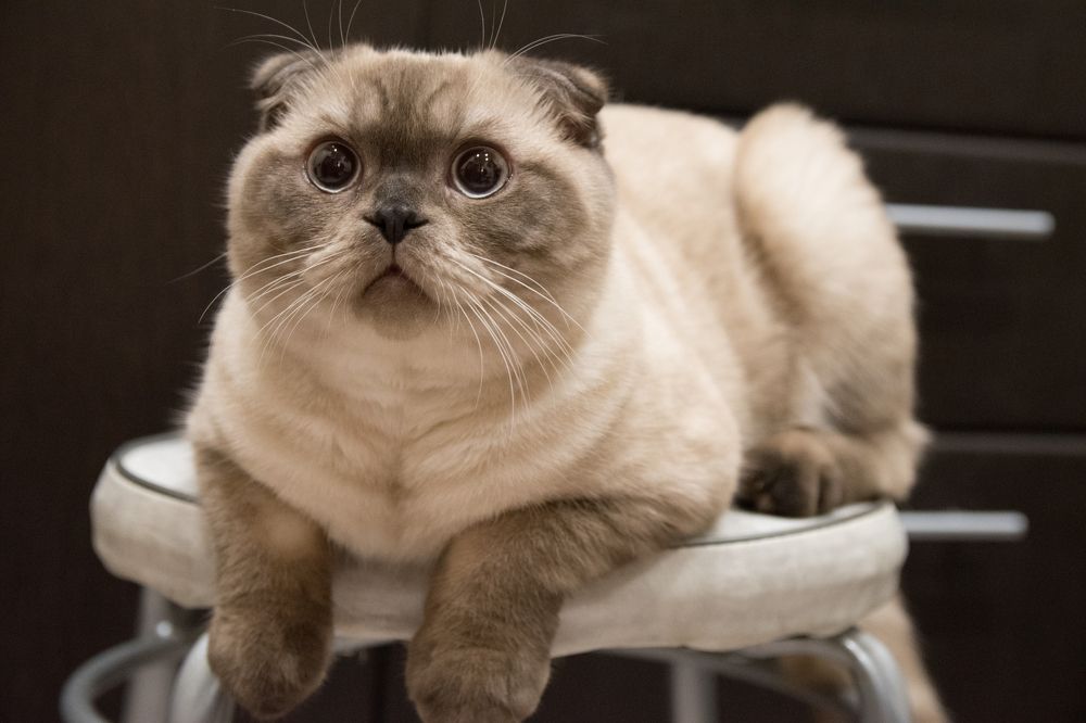 Photograph by Антон Гаврилов