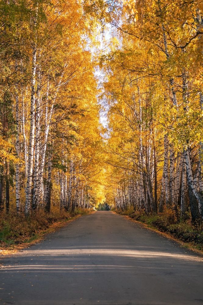 Photograph by Александр Нестеров