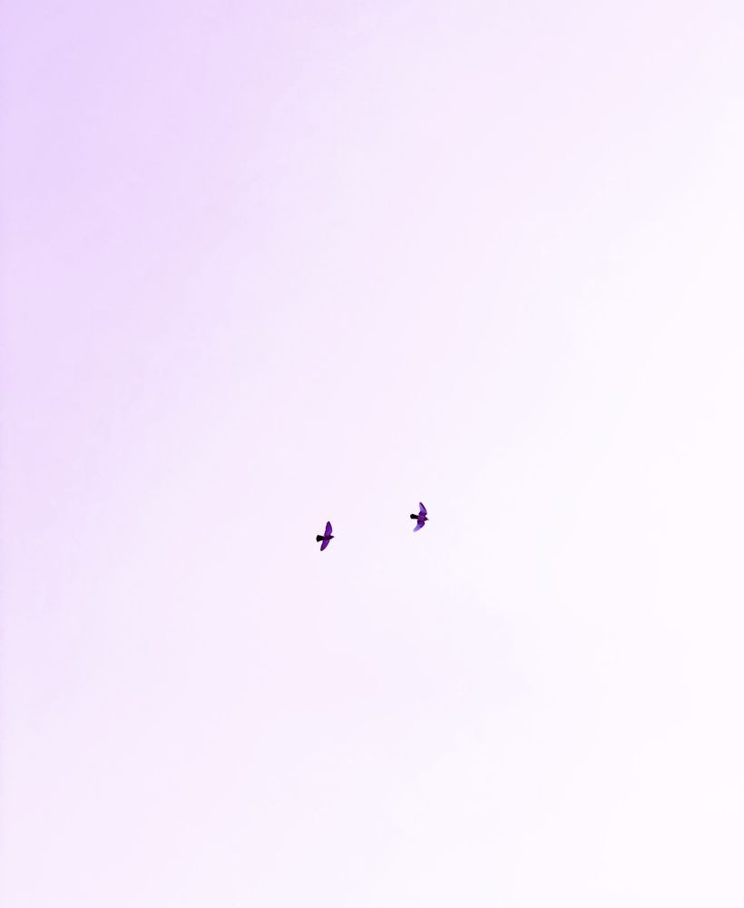 Фотография автора Nadezhda