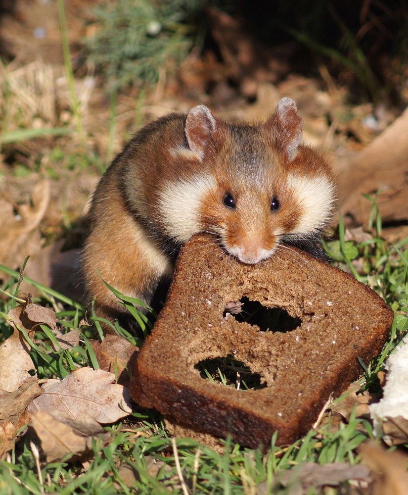 Photograph by Наталья Степаненко