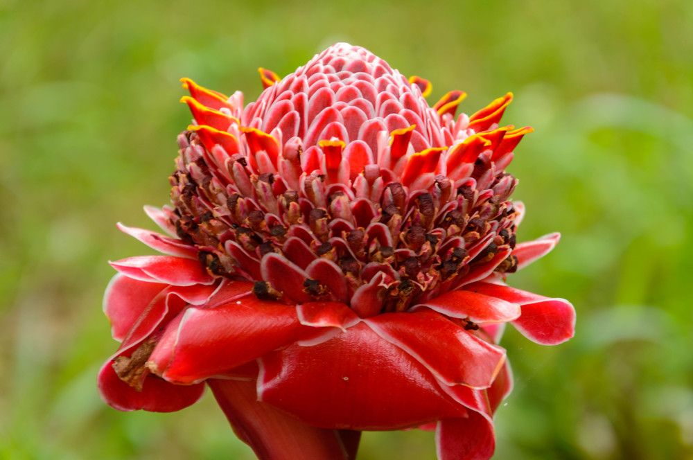 Photograph by Олег Волков