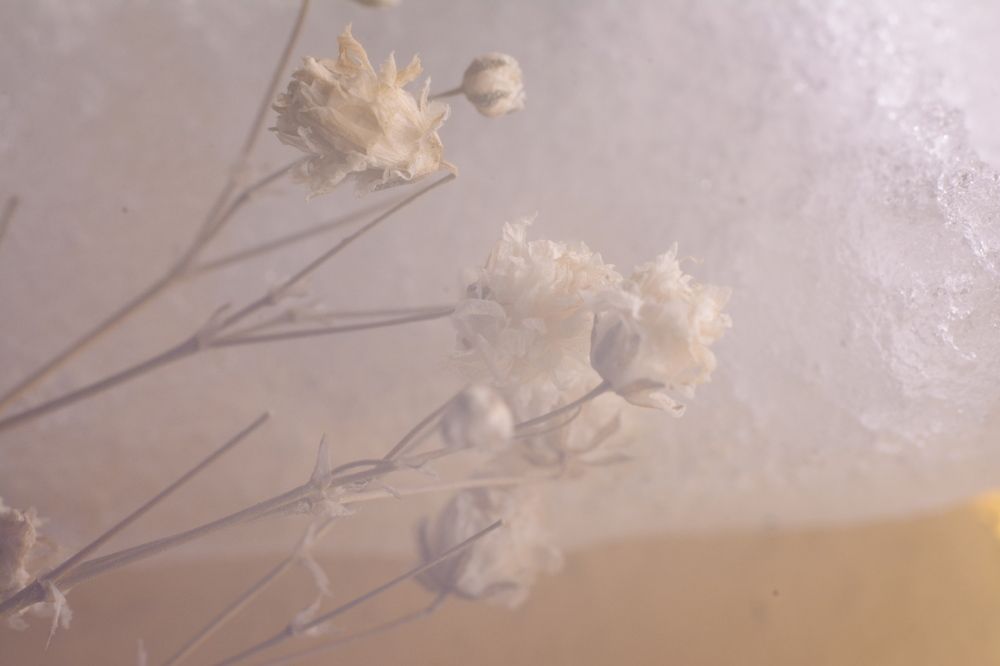 Photograph by Ольга Истомина