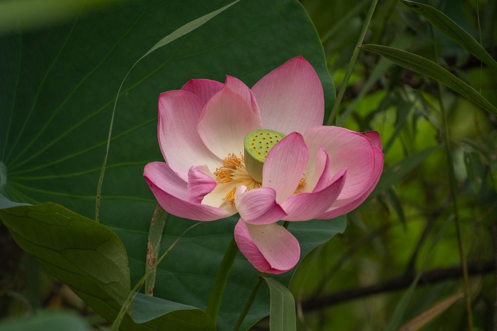 Photograph by Олег Волков