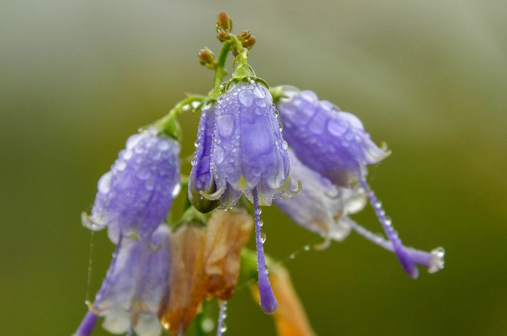 Photograph by Олег Волков