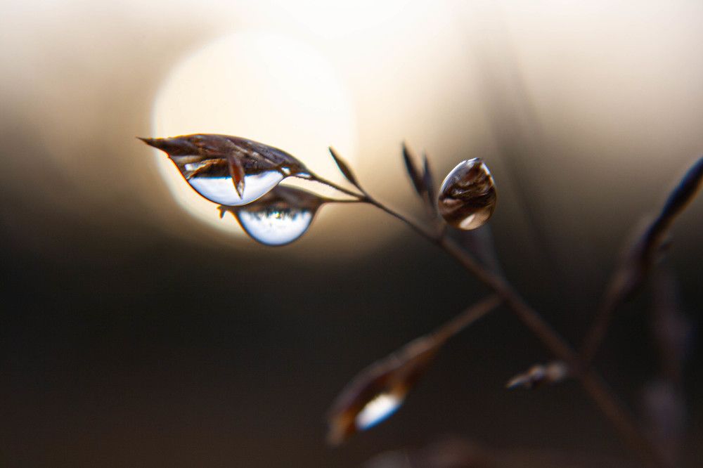 Фотография автора Ирина Гриценко