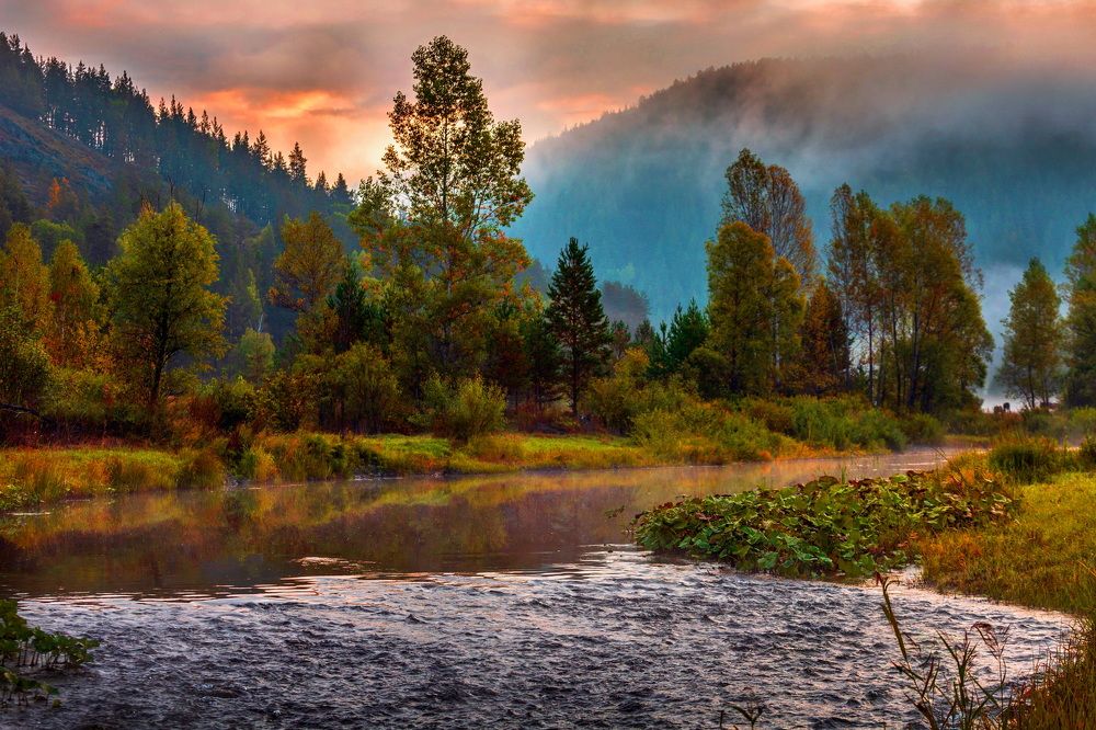 Photograph by Владимир Акиньшин