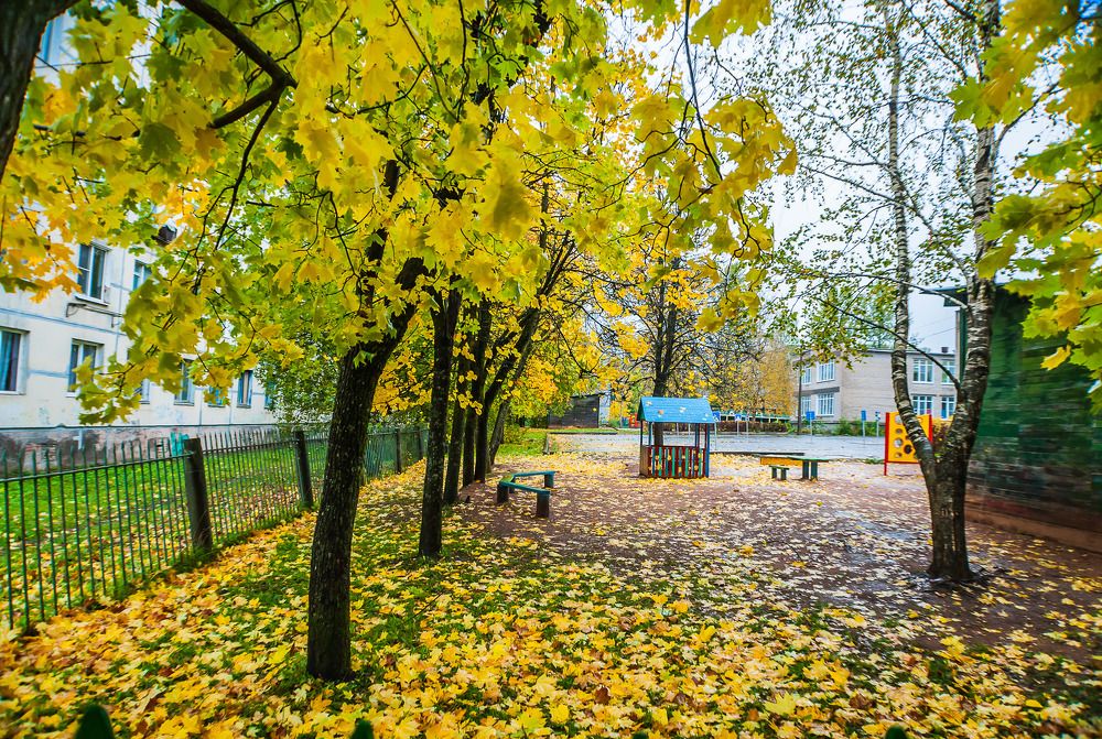 Фотография автора Олег Анатольевич Загорулько