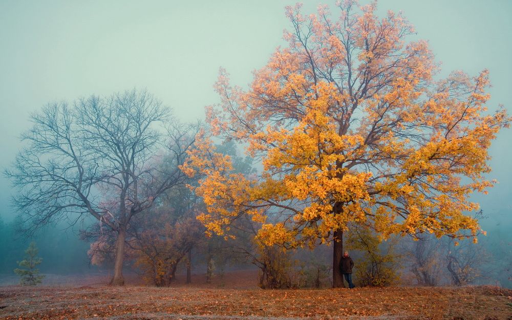 Photograph by Владимир Акиньшин