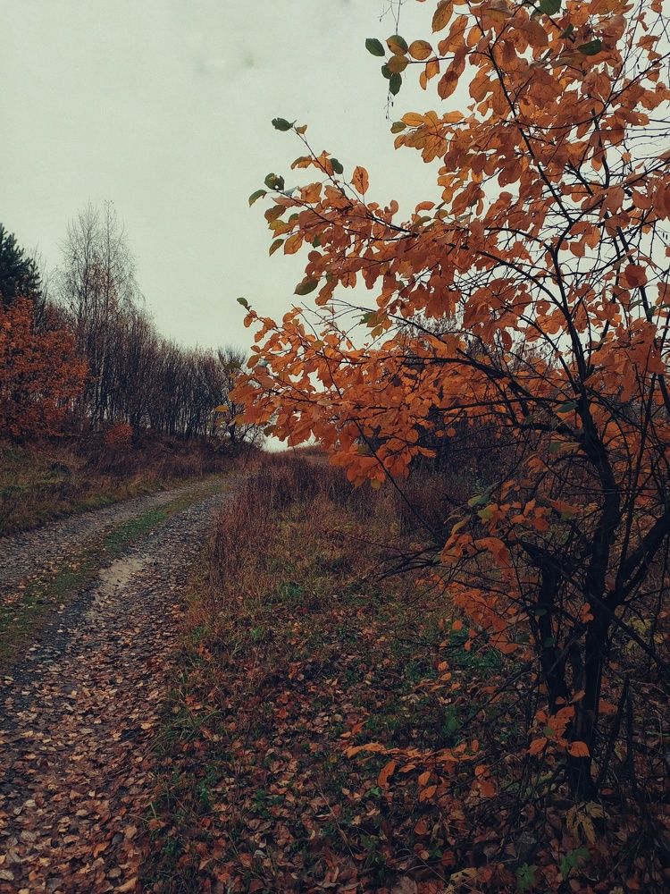 Photograph by Ольга Юминова