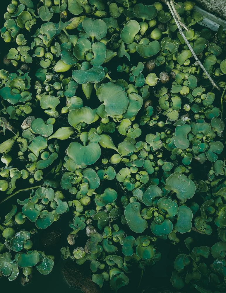 Photograph by Tajudin Shaik