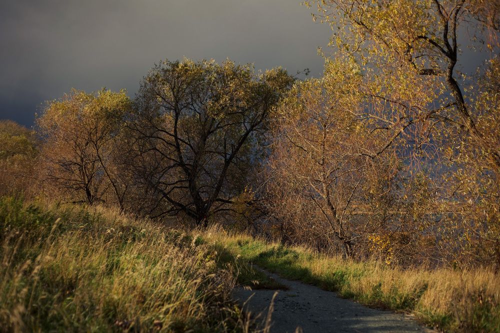 Photograph by Евгения Шубенкова