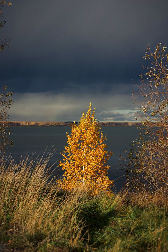 Photograph by Евгения Шубенкова