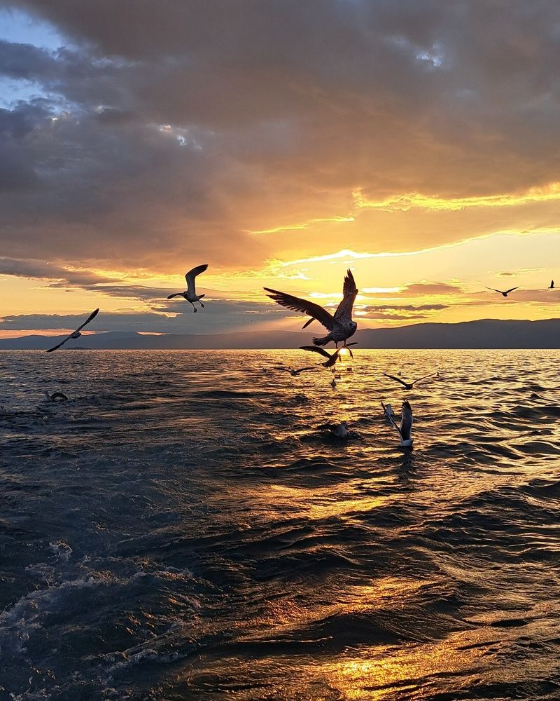 Photograph by Оксана